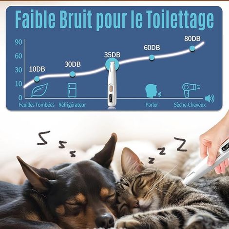 Pjordo Tondeuse pour Chien avec Baume Coussinet Chien, Tondeuse Chat à Faible Bruit, Tondeuse Patte Chien entre Coussinets pour Couper Pattes, Yeux, Oreilles, Visage, Croupe