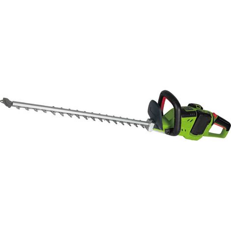 Cortasetos inalámbrico 2 x 24 V, sin pilas (1/5)