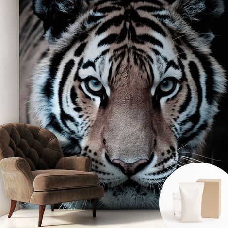 Carta Da Parati Non Tessuto - Con Colla Inclusa per Camera da Letto - Facile da Applica - Motivo decorativo Ritratto di tigre 250x250 cm (1/5)