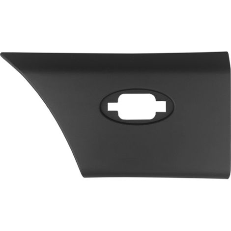 MODANATURA LATERALE SINISTRA CON FORO LUCE PER PASSO LUNGO CON CLIP DI MONTAGGIO - RENAULT - Master 2009 - 768F20007R - 9387500Q0C - 93197651