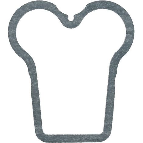 Ventildeckeldichtung FENDT F385200210171