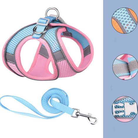 Harnais pour chien (rose XXXS), harnais anti-traction pour chat avec laisse, harnais anti-fuite pour chiot pour promenade en extérieur (1/5)