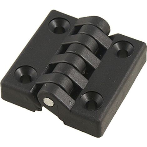 Bisagra para puerta, rodamiento de bolas, plástico, robusta, 40 x mm (1/3)