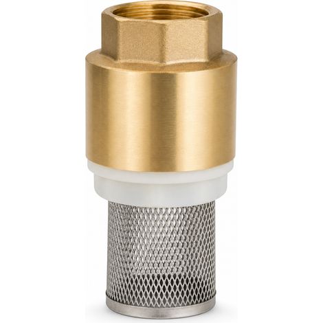Clapet de Pied Laiton DN40 avec Filtre pour Pompe Jaune (1/5)