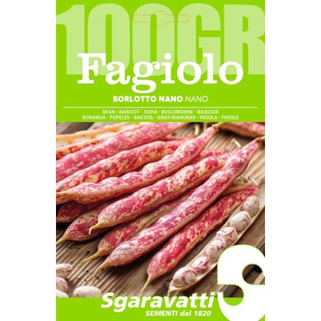 Semi per Fagioli Fagiolo Borlotto Nano Lingua di Fuoco 5 Pezzi 100 gr