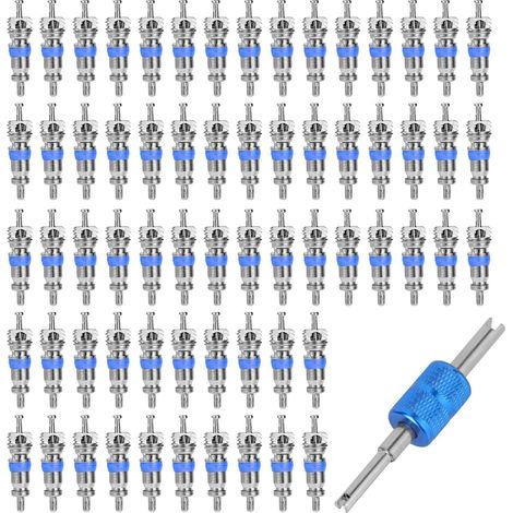 50pcs Noyau Valve de Climatiseur, Remplacement Noyau Valve Haut de Gamme avec Outil Démontage Accessoires Pratiques pour Climatiseur pour R410/R32/R22 Réfrigérants (1/5)