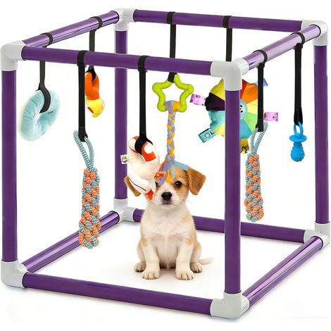 Studio de jeu pour chiot avec 8 jouets suspendus - Cadre en PVC violet - Centre d'activité pour petits chiens - Paradis de jeu avec couineur et jouet à mâcher (50 x 50 x 50 cm) (1/5)