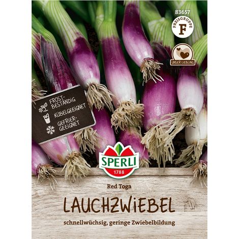 Gemüsesamen, Lauchzwiebel 'Red Toga', grün, lila (1/2)