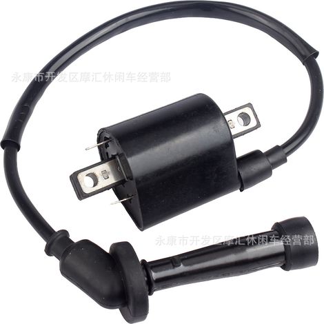 Passend für Yamaha V Star XVS650 1998-2016 Hochspannungstransformator-Zündspule 4VR-82320-00 (1/5)