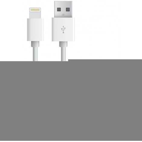 Cargador de Casa con Cable Lightning USB de 1 Metro  Compatible con iPhone  Oferta exclusiva