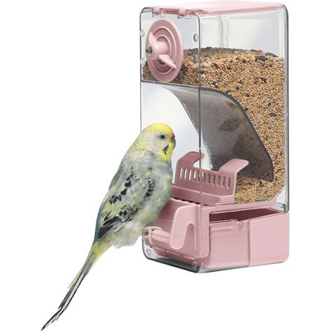 Mangeoire Automatique pour Oiseaux, Mangeoire à Cage à Oiseaux avec Perruche pour Perruche Canari Calopsitte Pinson (1/5)