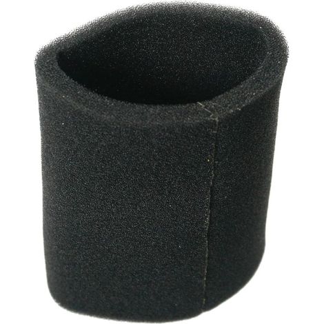 Filtre Mousse pour aspirateur Rowenta Bully, Vorace, Vorace Compact, RS-RU3712-1 Filtre (1/3)