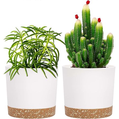Lot de 2 pots de fleurs de 12 cm, pots avec trous de drainage et fond amovible (blanc 12 cm) (1/5)