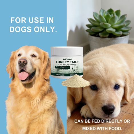 Poudre de complexe de champignons pour chiens : douce et confortable, protège et nourrit le corps des animaux - 50 g (1/5)