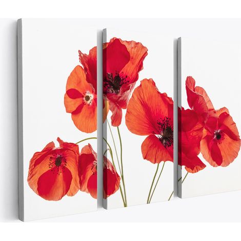 Tableau triptyque sur toile - Coquelicots (1/2)