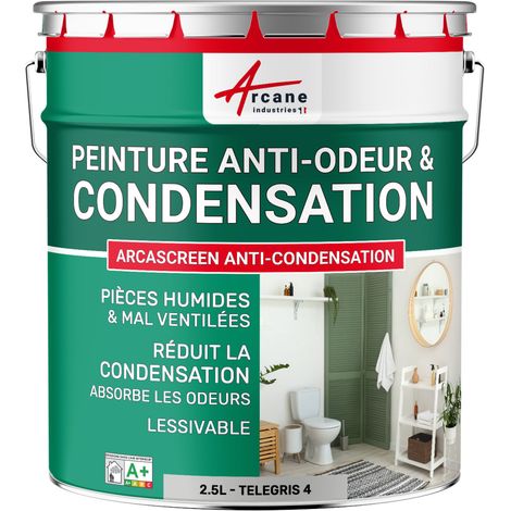 Peinture anti condensation, anti odeur, moisissure - 2.5 L Telegris 4 - RAL 7047 - ARCANE INDUSTRIES