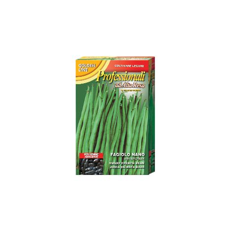 SCATOLA SEMI DI FAGIOLO NANO WINTERGREEN ORTO GIARDINO SEMI