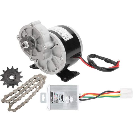 Moteur électrique, Moteur électrique de Vitesse de Roue de chaîne de contrôleur de Vitesse de Moteur électrique de CC 12V 250W