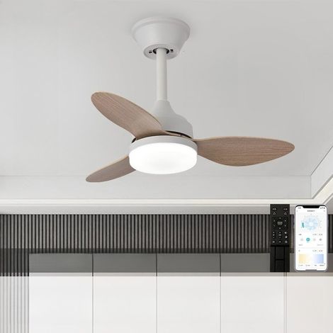 Plafonnier Ventilateur Kaki 63 cm avec Lumière LED 3CCT, Télécommande 6 Vitesses, Ventilateur de Plafond Moderne pour Petite Pièce