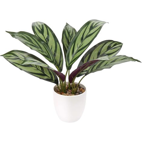 CALATHEA, fiore artificiale in vaso, 33 cm