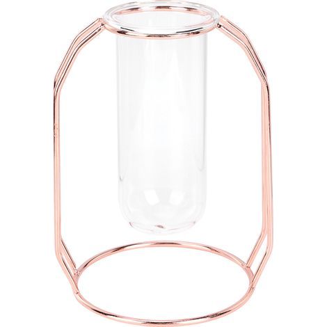 Vases de plantes hydroponiques transparents Pot de fleur décorations de table pour la maison or rose (1/5)