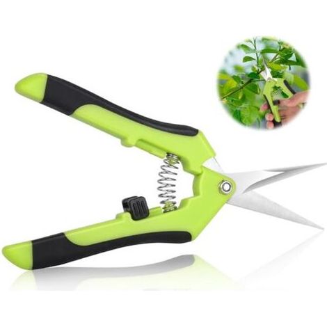 Sécateur - Acier Inoxydable - Pour Taille De Plantes Fleurs Bonsaï Légumes - 1 Pièce (1/5)