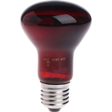 Lampe chauffante et lumineuse infrarouge 220-240 V à incandescence pour terrariums d'amphibiens, avec éclairage 360°, couleur bordeaux. Éclairage et chauffage pour terrariums d'amphibiens. (1/5)