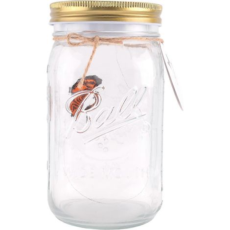 Collection de papillons artificiels en bocal, orange-- (1/2)