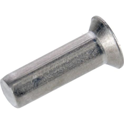Rivet MASCHIO F02250521RDO (1/2)