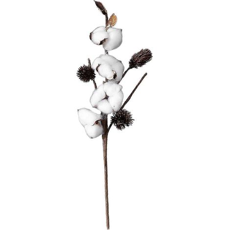 Fleurs artificielles en tiges de coton séché naturel Loviver pour bricolage et jardinage-4 Head (1/5)