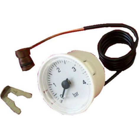 Manometro Ariston Egis 24f
