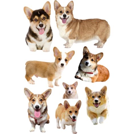 Autocollant mural 3D motif chiens pour enfants, décoration murale à faire soi-même pour salon, chambre, toilettes, maison