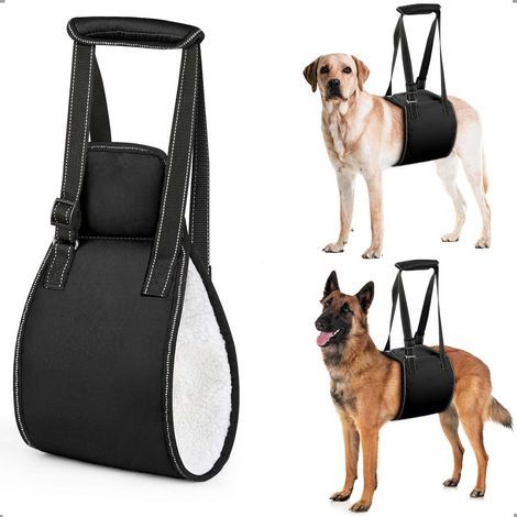 BUNTHAUS Harnais pour Chien avec poignée, Harnais de Levage pour Chien Ajustable pour la rééducation, Marche Souple de Soutien des Pattes arrière pour Les Chiens âgés, blessés ou handicapés,L,Noir