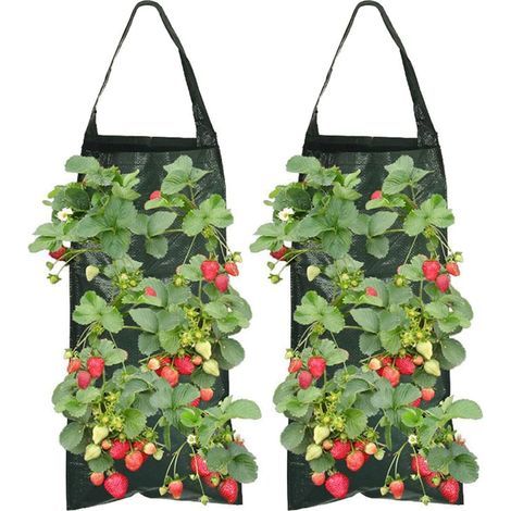 2-teiliges Pflanzbeutel-Set, 8 Löcher, atmungsaktives Material, stabiler Griff, für Erdbeeren, Gemüse und Blumen (1/5)