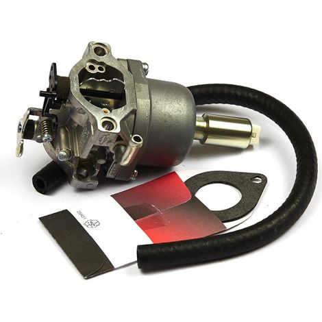 Vergaser für Briggs- und Stratton-Motoren  590400