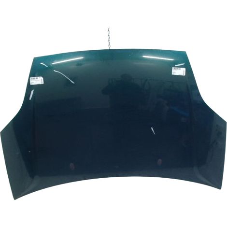Capot FORD Fiesta V Phase 1 2002-2005 [PRODUIT D'OCCASION]♻️1346646 (1/3)