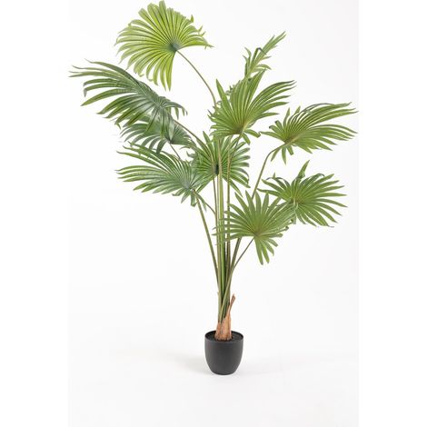 Figuras decorativas - Planta Artificial Palmera Fan - 180 (1/5)