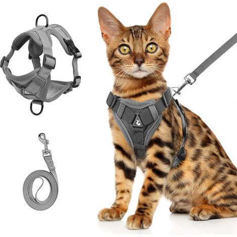 Harnais anti-éclatement pour chat avec laisse - Harnais souple réglable pour chat - En tissu respirant et réfléchissant - Gris - Taille S à XL (gris, L) (1/5)