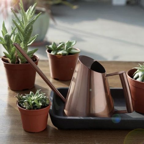 Fydun Arrosoir à fleurs Ménage En Acier Inoxydable Arrosoir Pot Jardin Plante Verte Fleur Arrosoir Bouilloire Bronze (M) (1/4)