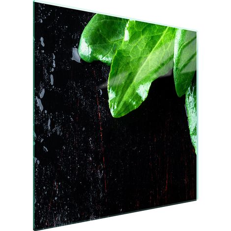 PLACA PROTECTORA DE VIDRIO PARA ESTUFA 50x52 BASIL (1/5)