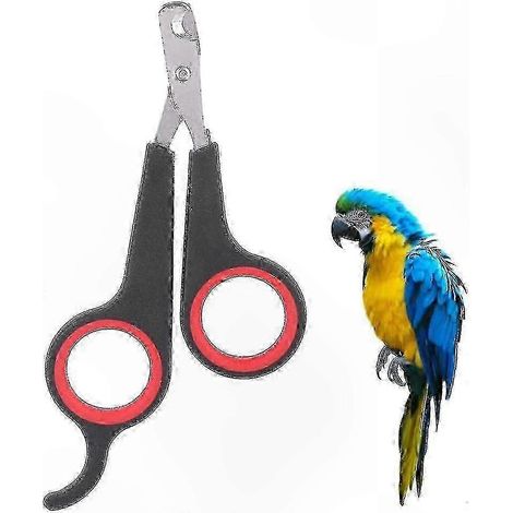 Outil de toilettage pour petits animaux, idéal pour la coupe des griffes et l'entretien des griffes des perroquets. (1/5)