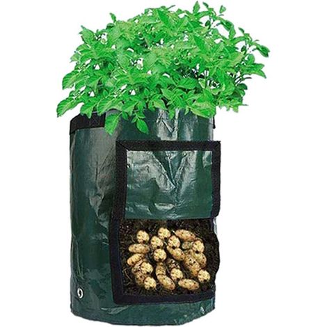 Sac de plantation PE respectueux de l'environnement, respirant, pochette de culture de plantes, outil de jardinage, vert foncé, 5 gallons, 23x28cm (1/5)