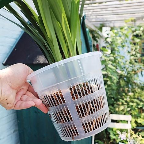 Set mit 5 transparenten Orchideentöpfen mit Abflusslöchern – Strapazierfähiger Kunststoff, geeignet für den Innen- und Außenbereich, 11 cm (1/5)
