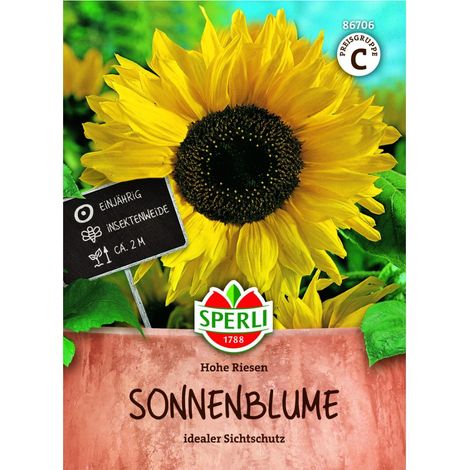 Sperli Sonnenblume Hohe Riesen - 1 Portion