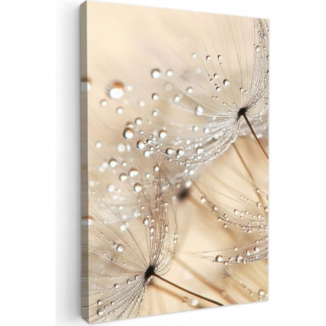 TABLEAU SUR TOILE Pissenlit - Abstrait - Nature - Beige Impression sur Toile 20x30 cm