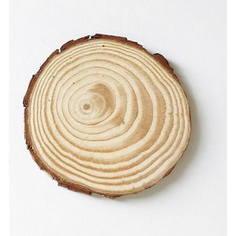 Lot de 4 rondelles de bois naturel brut de 8 à 10 cm de diamètre, avec écorce, idéales pour la confection de sous-verres, de décorations de Noël, de centres de table rustiques ou de décorations de mar (1/5)
