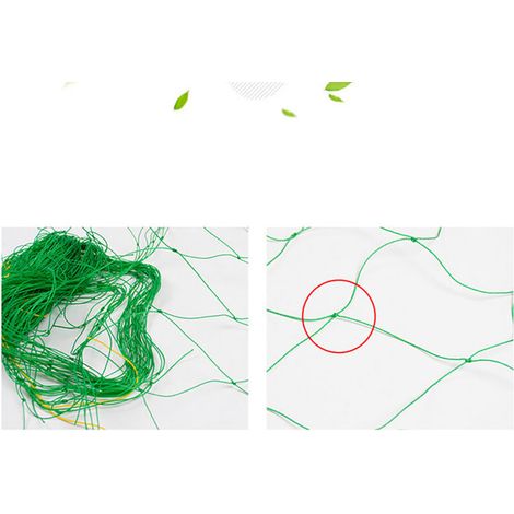 Filet de Treillis Nylon 1.8x3.6m pour Plantes Grimpantes et Potager (1/2)