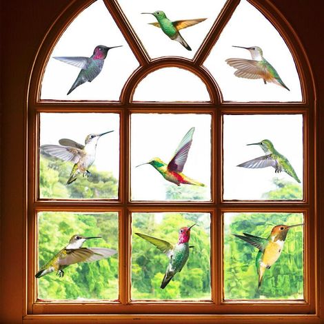 Autocollants de fenêtre d'oiseau pour se protéger contre les impacts d'oiseaux - 18 beaux autocollants en verre de colibri, double face et auto-adhésifs pour se protéger contre les collisions d (1/2)