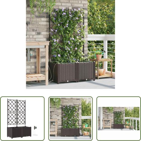 Pot de jardin - Cache-pot de jardin 2 pcs Marron Acier (1/5)