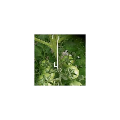 400 13 cm lange Clips für Gartenpflanzen, Rankhilfen für Kletterpflanzen, Tomatenclips, Tomatenstützen - Crezuo